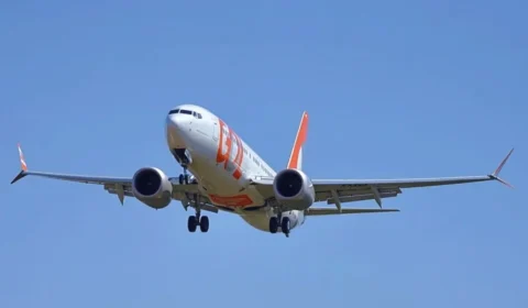 Avião da Gol com destino a SP volta ao aeroporto do Recife após pássaro avariar motor