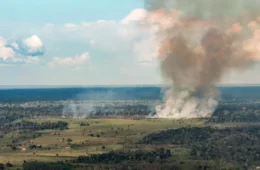 Incêndios avançam sobre o oeste do Pará e deixam ar insalubre
