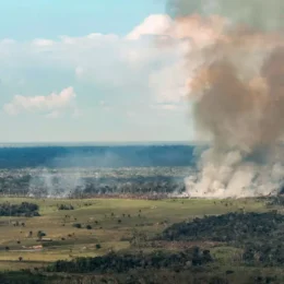 Incêndios avançam sobre o oeste do Pará e deixam ar insalubre