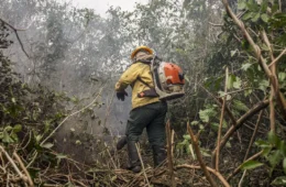 Ministro do Meio Ambiente diz que incêndios no Amazonas indicam ação criminosa