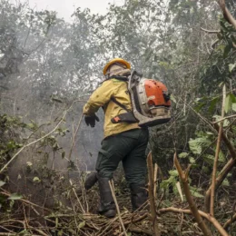 Ministro do Meio Ambiente diz que incêndios no Amazonas indicam ação criminosa