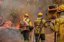 FAB envia cargueiros militares para reforçar combate a incêndios florestais no Amazonas