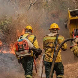 FAB envia cargueiros militares para reforçar combate a incêndios florestais no Amazonas