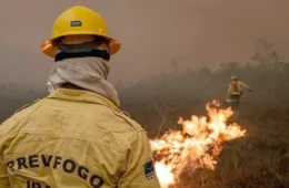 Oito em cada dez focos de incêndio no Amazonas estão em propriedades privadas, aponta Inpe