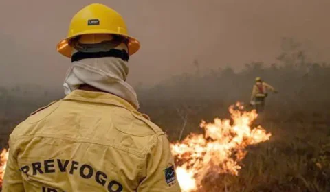 Oito em cada dez focos de incêndio no Amazonas estão em propriedades privadas, aponta Inpe