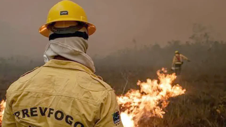 Oito em cada dez focos de incêndio no Amazonas estão em propriedades privadas, aponta Inpe