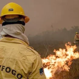 Focos de incêndio no Amazonas diminuem após ação de força-tarefa