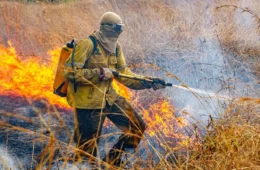 Ibama aplica R$ 2 milhões em multas por incêndios ilegais na Amazônia