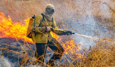 Ibama aplica R$ 2 milhões em multas por incêndios ilegais na Amazônia