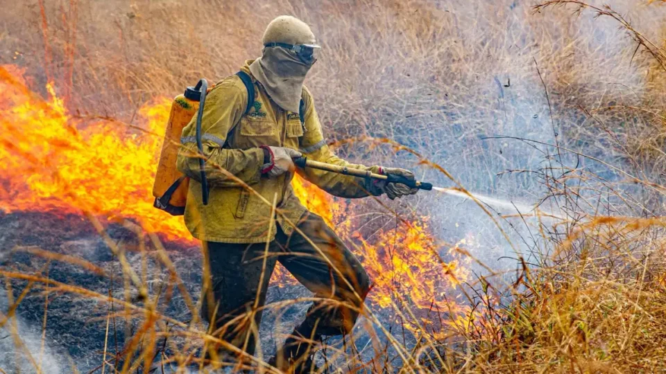 Ibama aplica R$ 2 milhões em multas por incêndios ilegais na Amazônia