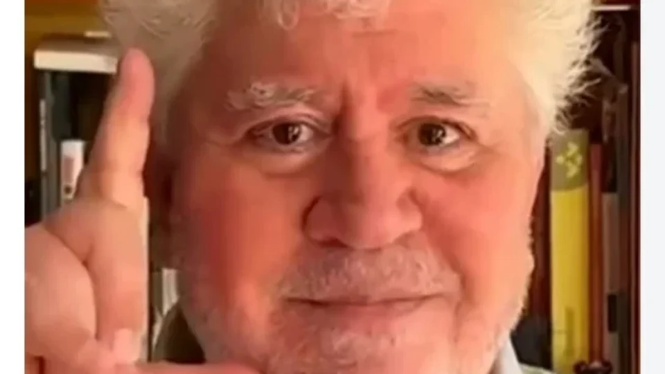 Mark Ruffalo, Tilda Swinton e outras estrelas internacionais declaram apoio a Lula em vídeo