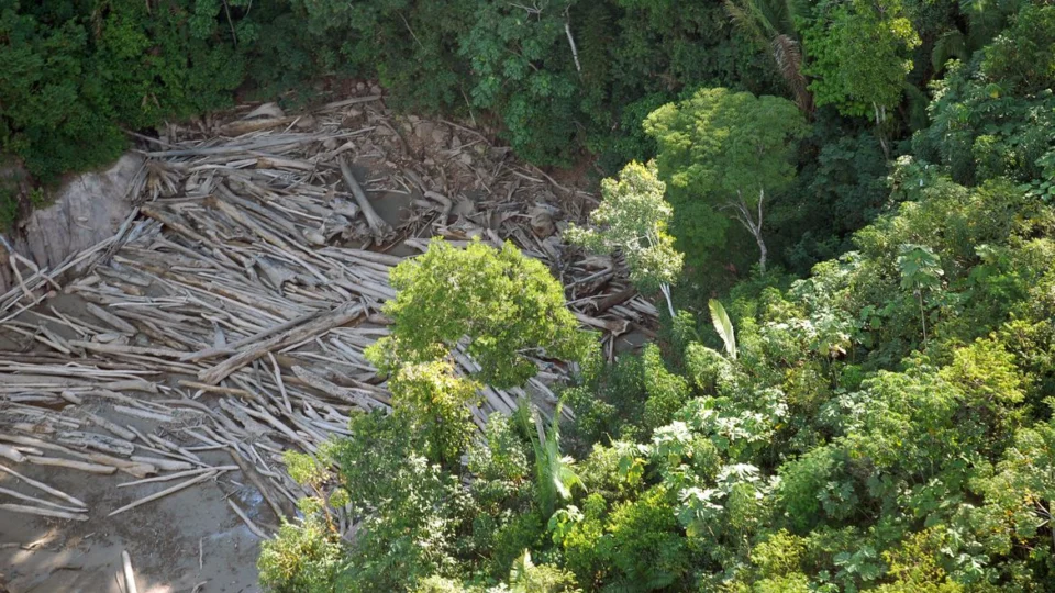 Cúpula das Américas: governo Bolsonaro ‘reforça’ posição de inimigo do meio ambiente