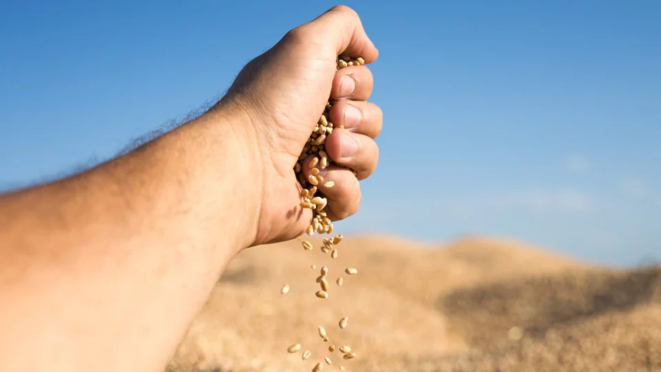 Agroecologia mostra que Brasil não precisa depender de fertilizantes químicos