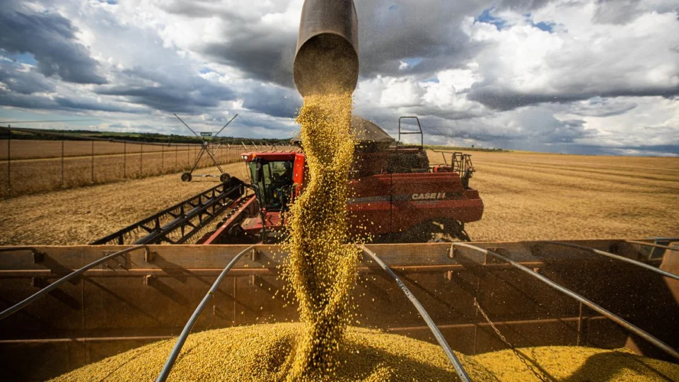 Melhora da balança comercial do Brasil depende de exportação da soja que passa por período de recuo