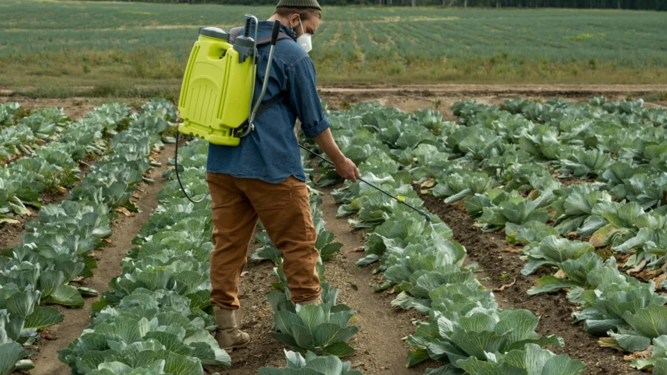 Agrotóxicos cancerígenos foram os mais vendidos no Brasil em 2020 e 2021