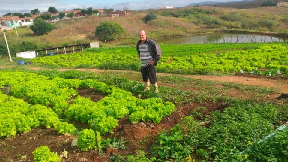 Consórcio Nordeste e China firmam acordo para beneficiar agricultura familiar