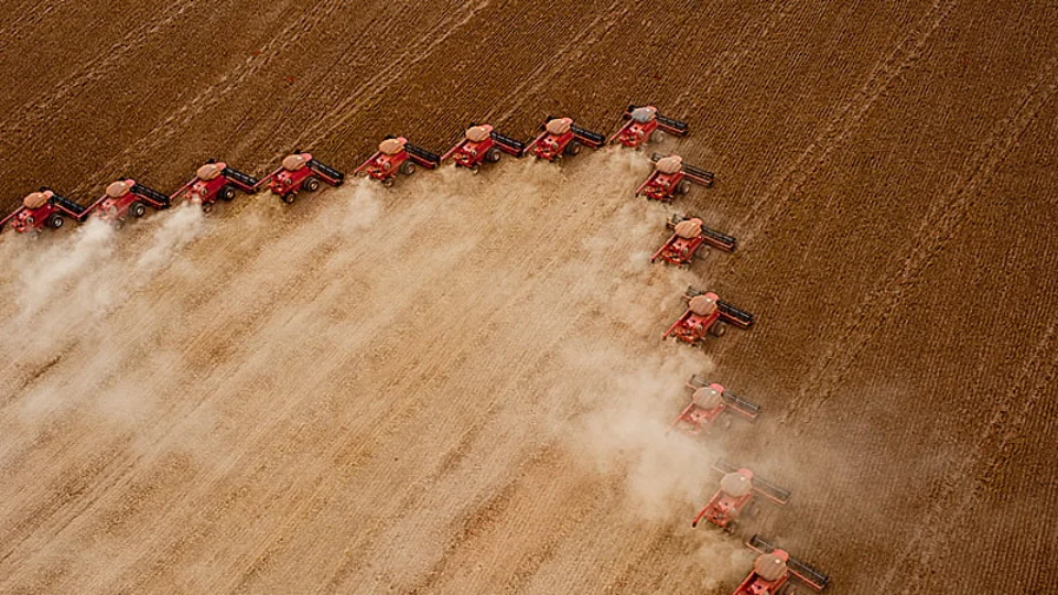 Impulsionado pelo agronegócio, saldo da balança comercial brasileira pode chegar a US$ 90 bi este ano