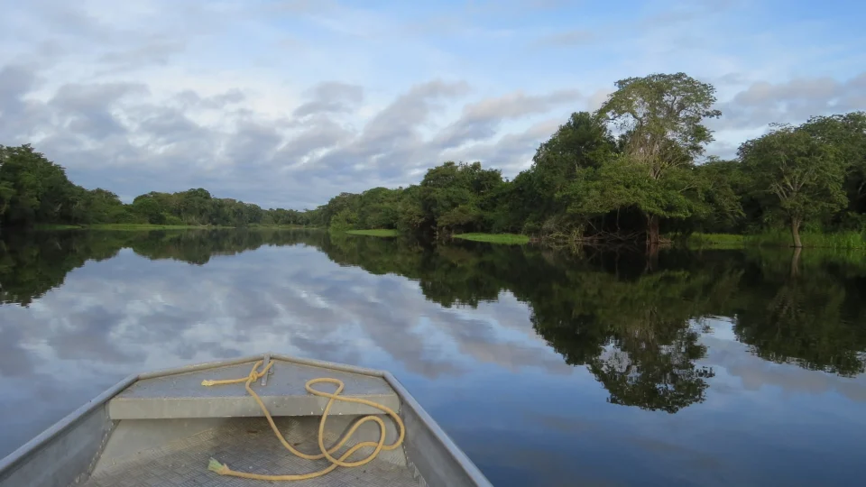 Com imagem do Brasil arranhada na questão ambiental, plano de governo de Lula inclui estratégias para liberar recursos do Fundo Amazônia