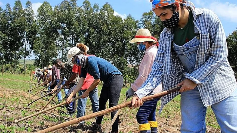 Desenvolvimento social e agrário pode ser carro-chefe de caráter progressista do governo Lula