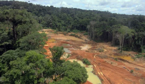 Garimpo ilegal devasta área de 118 hectares em Rondônia e no Amazonas