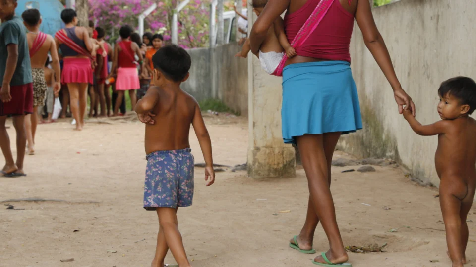 TCU vai fazer varredura em sistemas do governo para investigar causas da crise humanitária do povo yanomami