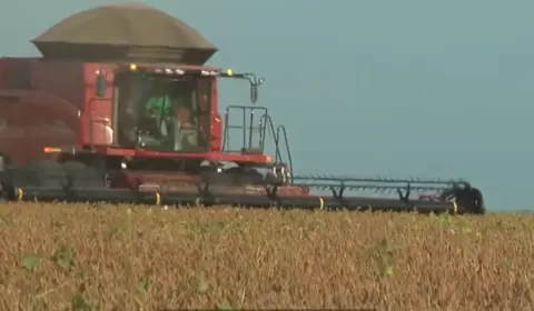 Líderes rurais e indígenas são ameaçados pelo agronegócio no Maranhão