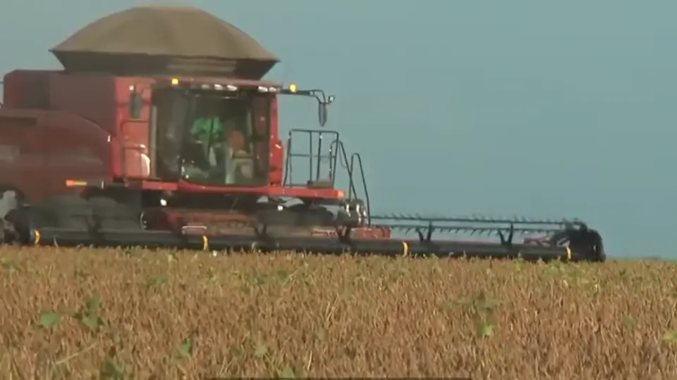 Líderes rurais e indígenas são ameaçados pelo agronegócio no Maranhão