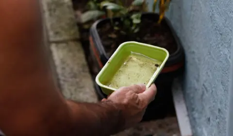 Dengue: governo federal cria centro de operações de emergências contra a doença