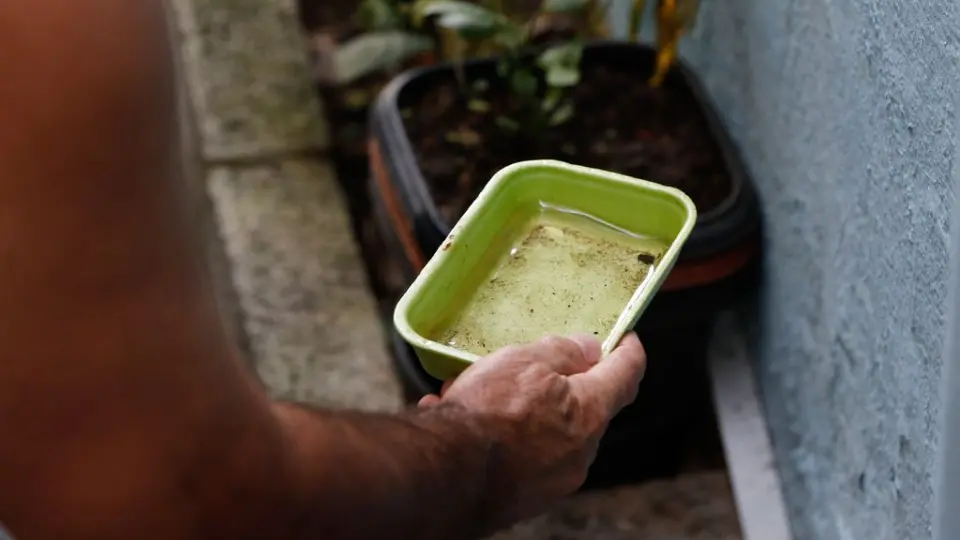 Saneamento, mudanças climáticas e suas relações com a dengue