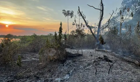 Dias dramáticos no Pantanal com novembro recorde de incêndios, indica Inpe