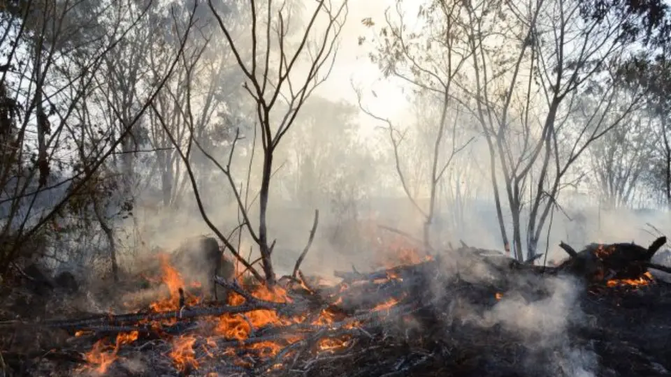 O caos atual destrutivo e o caos generativo como saída salvadora