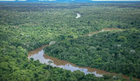 Desmatamento anual na Amazônia registra queda de 22,3%, melhor índice desde 2019