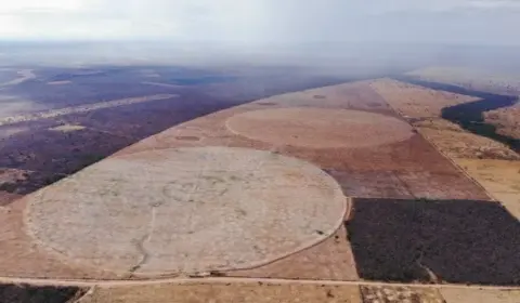 Justiça libera 400 mil hectares sob suspeita de grilagem após pressão ruralista na Bahia