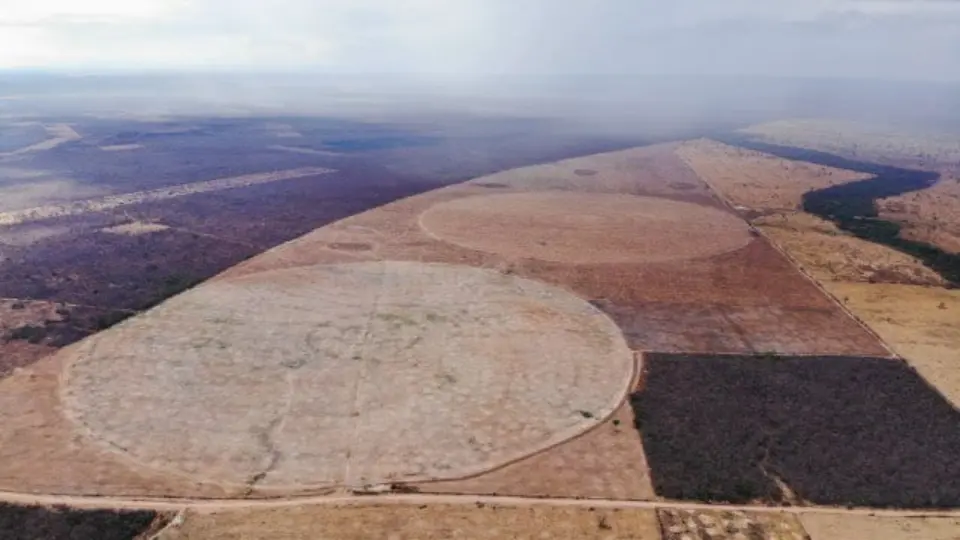 Justiça libera 400 mil hectares sob suspeita de grilagem após pressão ruralista na Bahia