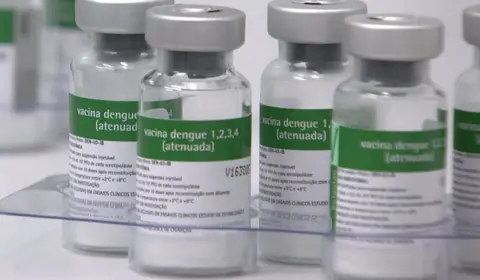 Vacina contra a dengue é incorporada ao SUS, e imunização começa em fevereiro