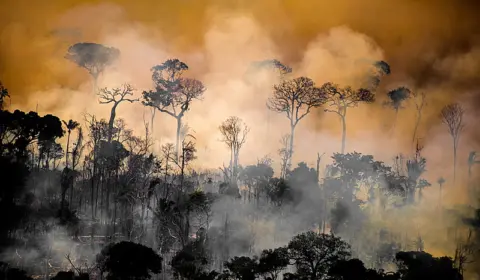 Mundo em chamas: Clima de 2023 foi o mais quente em 100 mil anos