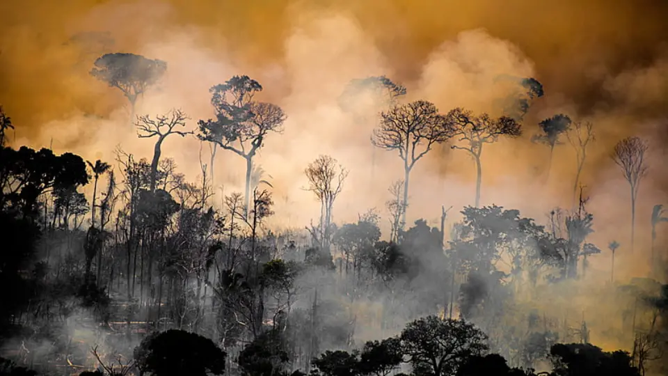 Impacto econômico da crise do clima é 6 vezes maior que previsto, diz estudo