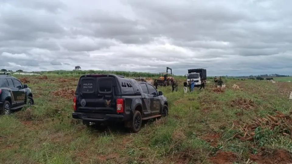 Paraguaios são resgatados em condições análogas à escravidão no Paraná