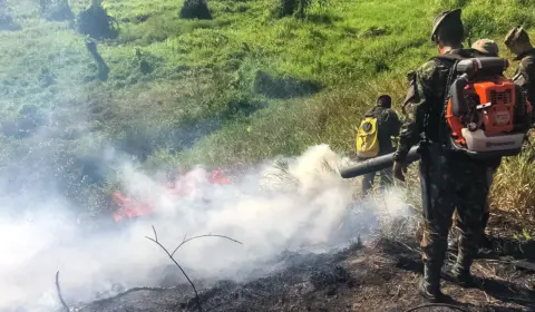 Com El Niño, Brasil registra mais de 17,3 milhões de hectares queimados em 2023