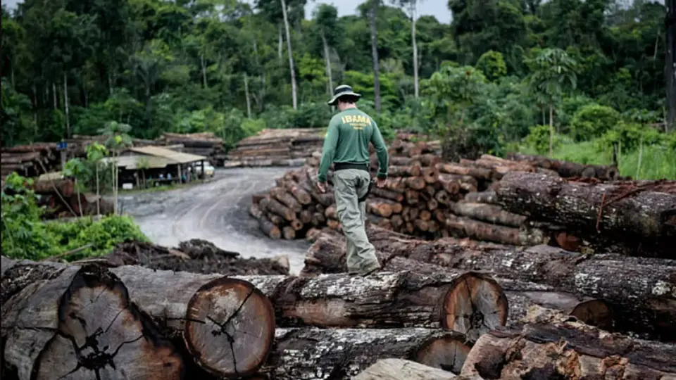 Servidores do Ibama decidem manter paralisação e vão sair da Terra Yanomami