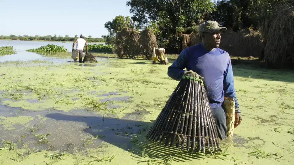 ‘Servidão’ ou a urgência do cinema político de Renato Barbieri