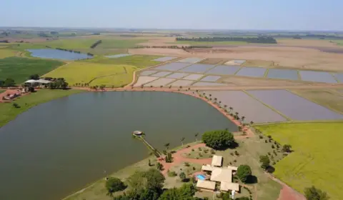 Donos de fazenda de ‘Terra e Paixão’ desviaram curso de rio e criaram peixes sem licença