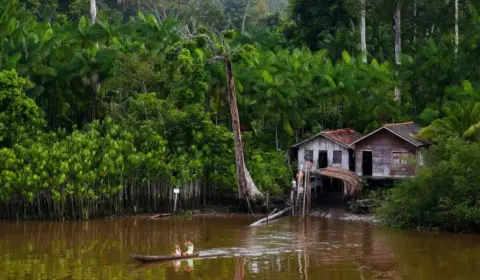 Políticos bolsonaristas pagaram por fake news sobre pedofilia na Ilha de Marajó