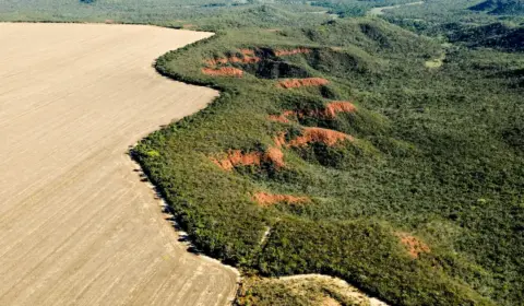 Cerrado tem alta de 19% nos alertas de desmatamento em fevereiro