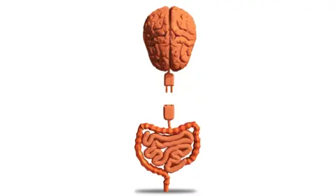 O elo intrincado entre estresse, depressão e saúde intestinal