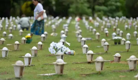 Doadores de órgão podem ter serviço funerário gratuito em SP; saiba como