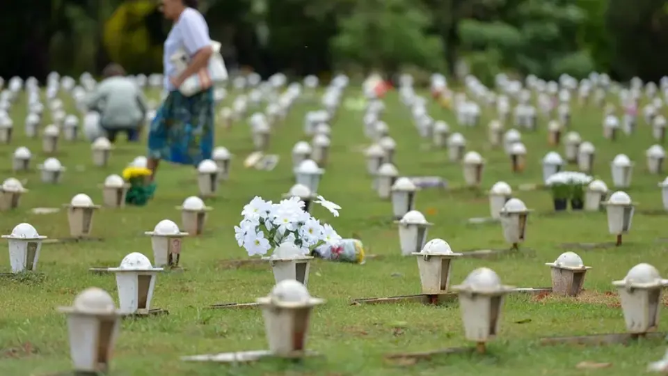 Doadores de órgão podem ter serviço funerário gratuito em SP; saiba como