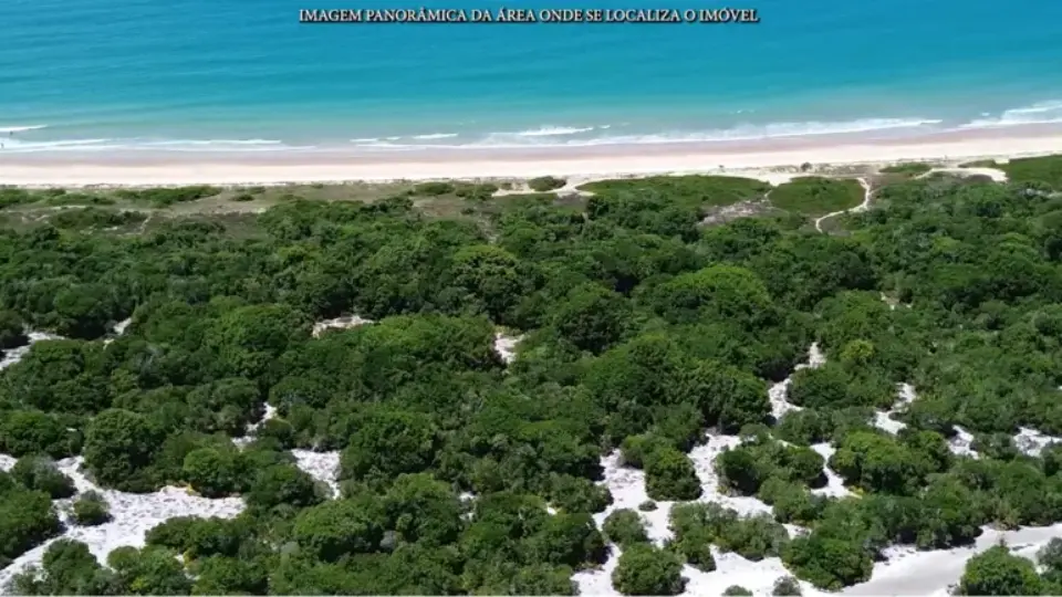 Justiça pode leiloar território Pataxó na Bahia para bancar multas de empresário