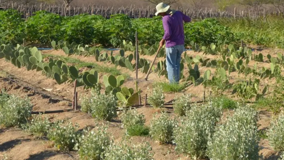 Governo federal lança plataforma para agilizar titulação rural