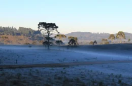 Frente fria chega com temperaturas negativas e geadas